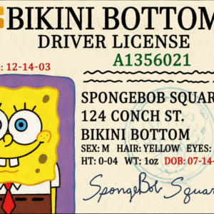 Bikini Bottom Driver License Card Skin – Sponge Edition