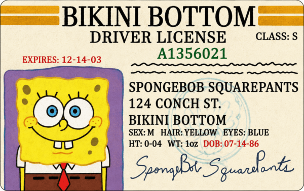 Bikini Bottom Driver License Card Skin – Sponge Edition — Front view