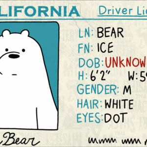 Ice Bear California Driver License Card Skin – Polar Edition