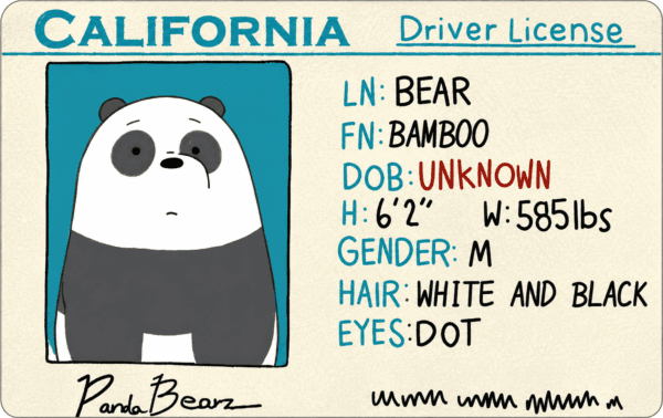 Panda Bear California Driver License Card Skin – Bamboo Edition — Front view